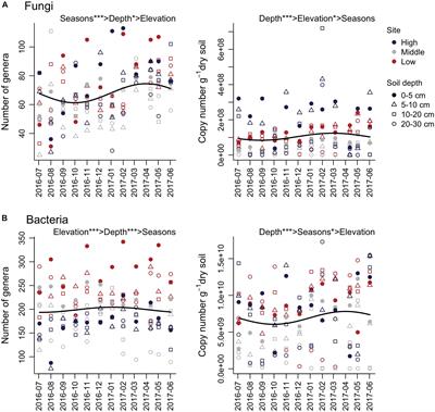 Seasonal Dynamics of Soil Fungal and Bacterial Communities in Cool-Temperate Montane Forests